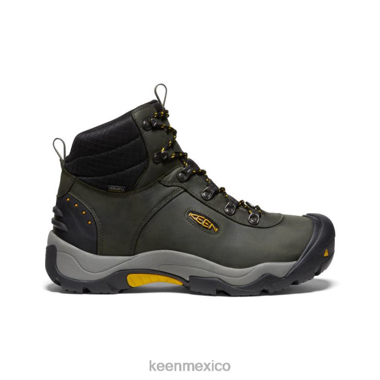 KEEN deleite iii hombres imán/olivo leonado calzado TXRFD343