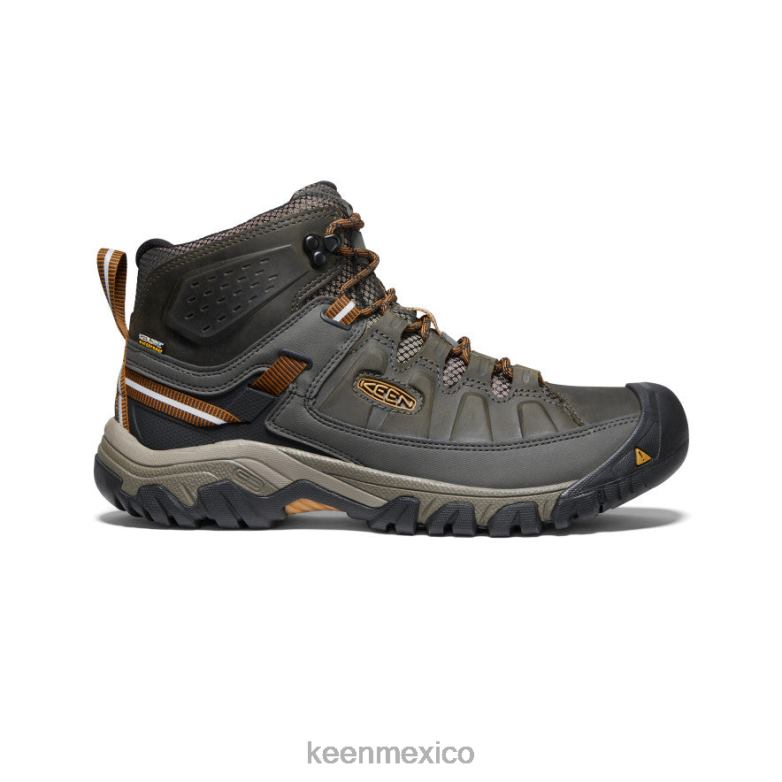 KEEN targhee iii impermeable medio ancho hombres negro oliva/marrón dorado calzado TXRFD246
