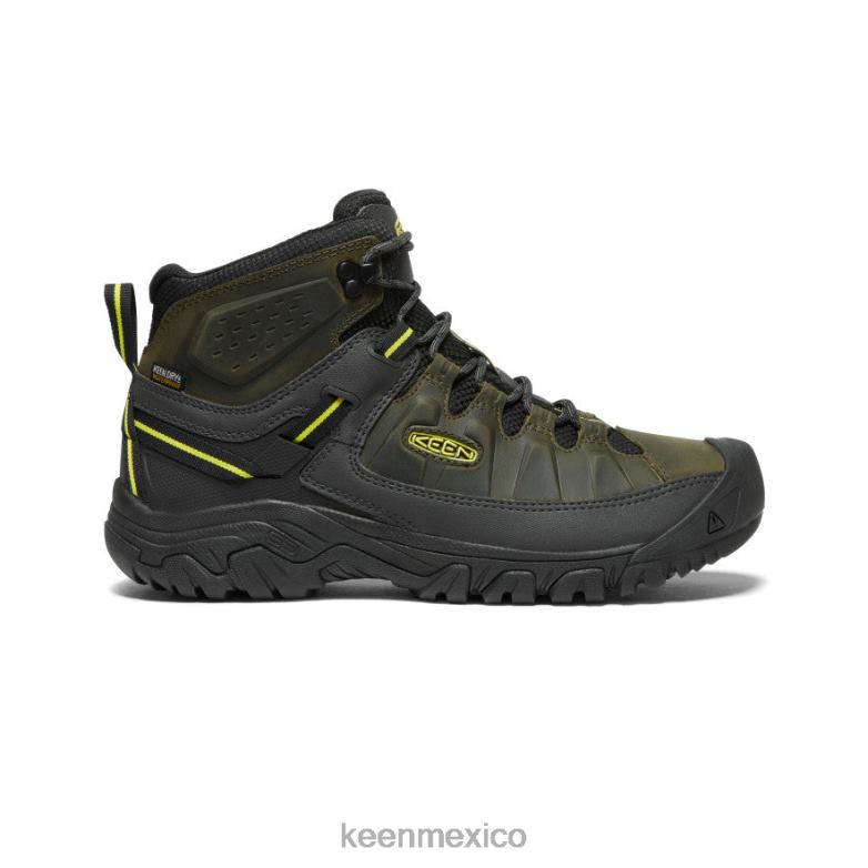 KEEN targhee iii impermeable medio hombres noche del bosque/onagra calzado TXRFD227
