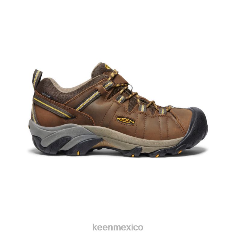 KEEN targhee ii impermeable ancho hombres marrón cascada/amarillo dorado calzado TXRFD294