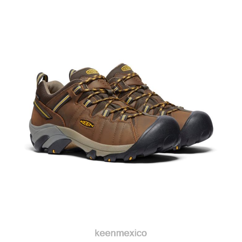 KEEN targhee ii impermeable ancho hombres marrón cascada/amarillo dorado calzado TXRFD294