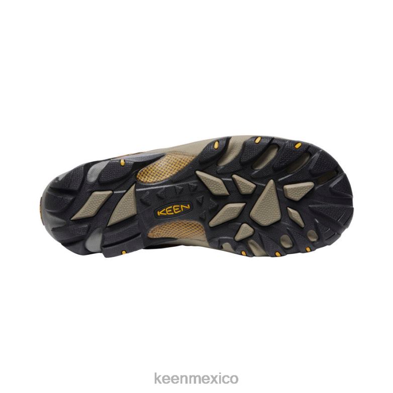 KEEN targhee ii impermeable ancho hombres marrón cascada/amarillo dorado calzado TXRFD294