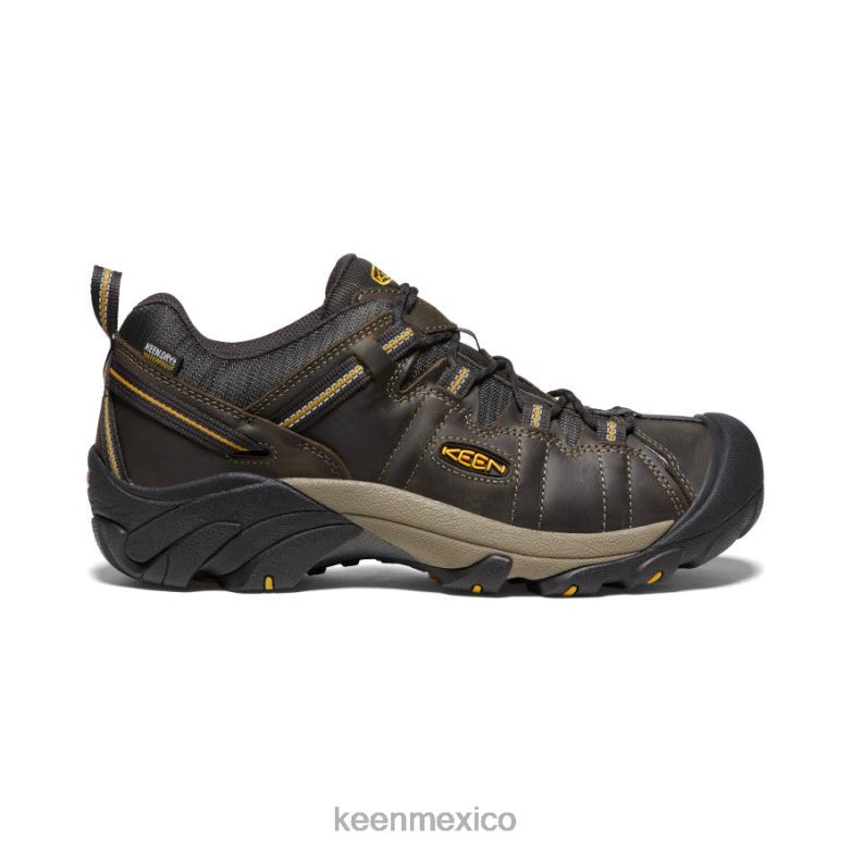 KEEN targhee ii impermeable hombres cuervo/olivo leonado calzado TXRFD207