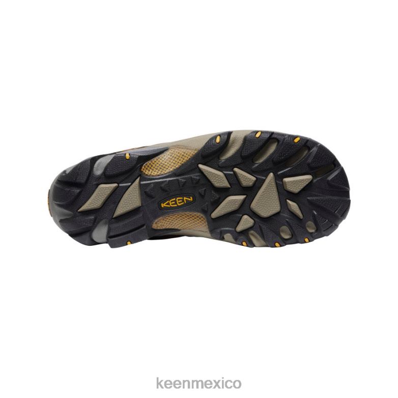 KEEN targhee ii impermeable hombres marrón cascada/amarillo dorado calzado TXRFD206