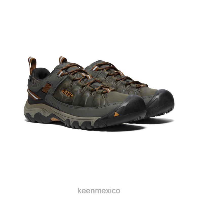 KEEN targhee iii impermeable hombres negro oliva/marrón dorado calzado TXRFD149