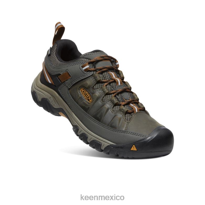 KEEN targhee iii impermeable hombres negro oliva/marrón dorado calzado TXRFD149