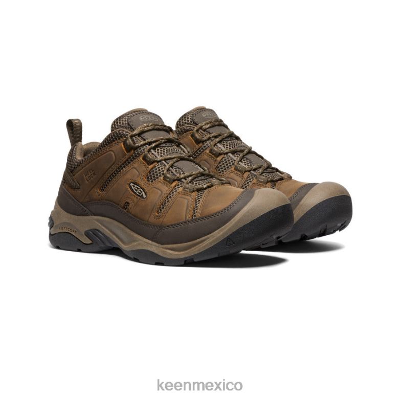KEEN zapato de ventilación circadia hombres shitake/atigrado calzado TXRFD172