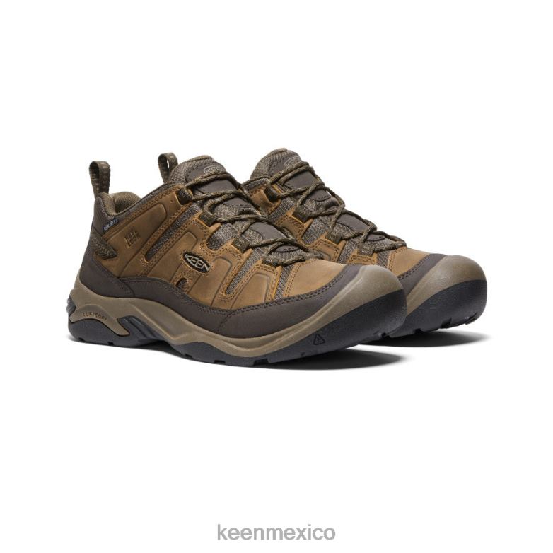 KEEN zapato impermeable circadia hombres shitake/atigrado calzado TXRFD101