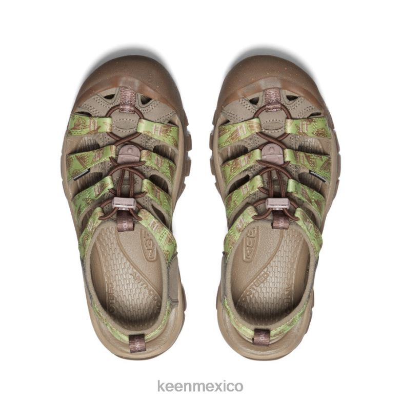 KEEN newport retro x oso ahumado mujer oso ahumado/estragón calzado TXRFD499