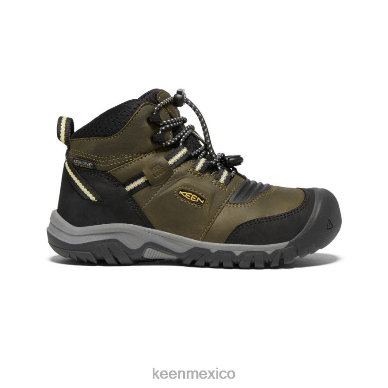 KEEN bota impermeable ridge flex niños grandes oliva oscuro/cidra oscura calzado TXRFD948