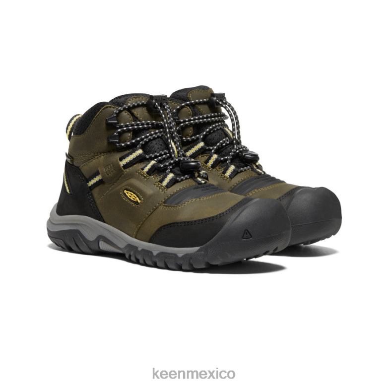 KEEN bota impermeable ridge flex niños grandes oliva oscuro/cidra oscura calzado TXRFD948