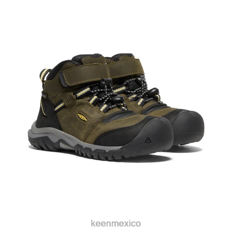 KEEN bota impermeable ridge flex pequeños niños oliva oscuro/cidra oscura calzado TXRFD907