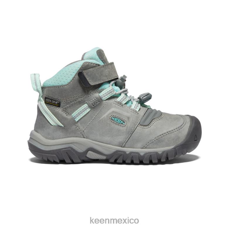 KEEN bota impermeable ridge flex pequeños niños tinte gris/azul calzado TXRFD906