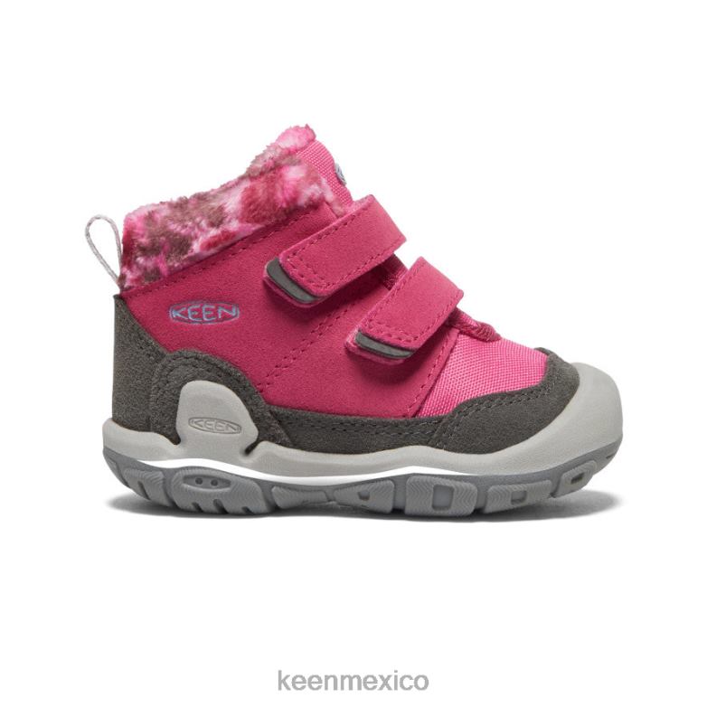 KEEN chukka con doble correa y nudo niños pequeños paloma de la fruta/negro calzado TXRFD1013