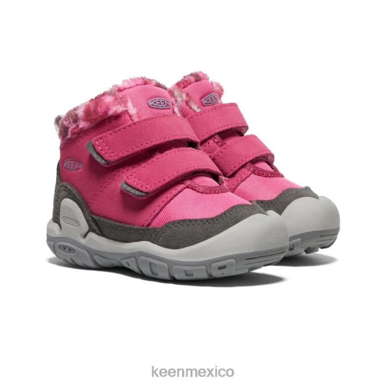 KEEN chukka con doble correa y nudo niños pequeños paloma de la fruta/negro calzado TXRFD1013