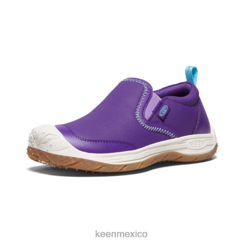 KEEN perro de velocidad sin cordones niños grandes tillandsia púrpura/ipanema calzado TXRFD719