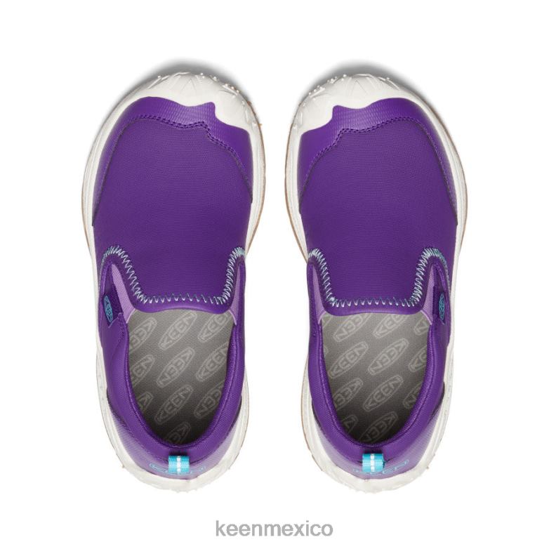 KEEN perro de velocidad sin cordones niños grandes tillandsia púrpura/ipanema calzado TXRFD719
