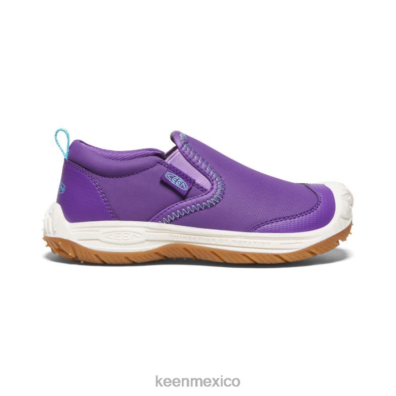 KEEN perro de velocidad sin cordones pequeños niños tillandsia púrpura/ipanema calzado TXRFD715