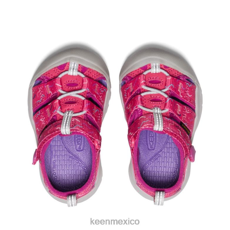 KEEN newport h2 niños pequeños azalea/festival fucsia calzado TXRFD832