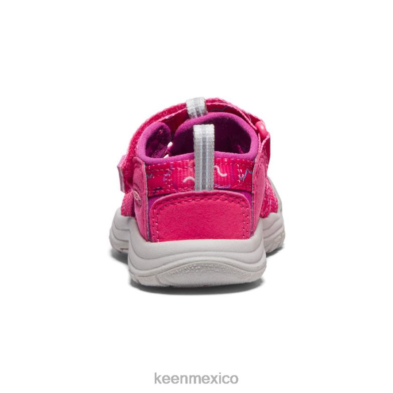 KEEN newport h2 niños pequeños azalea/festival fucsia calzado TXRFD832