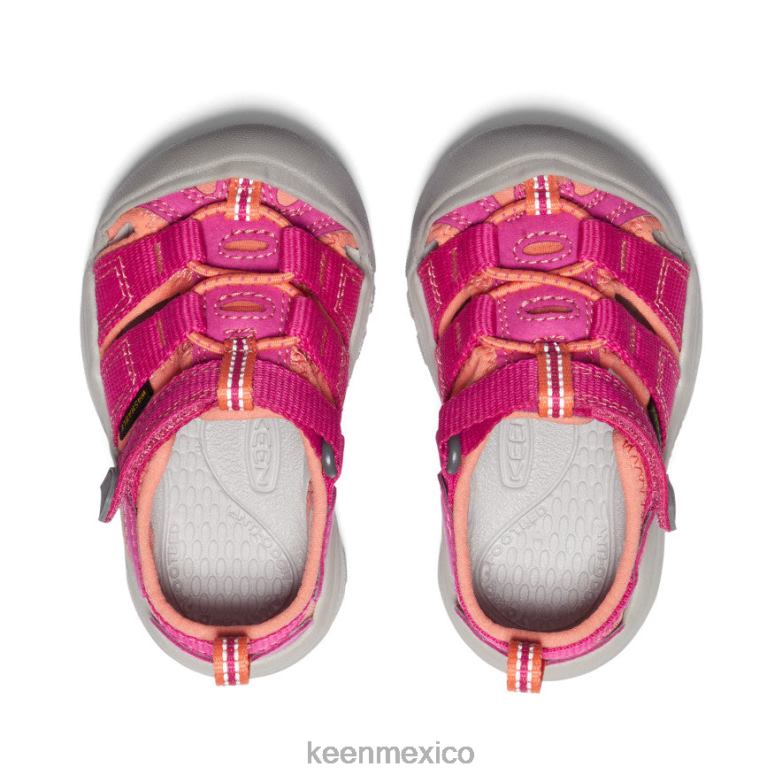 KEEN newport h2 niños pequeños coral muy baya/fusión calzado TXRFD828