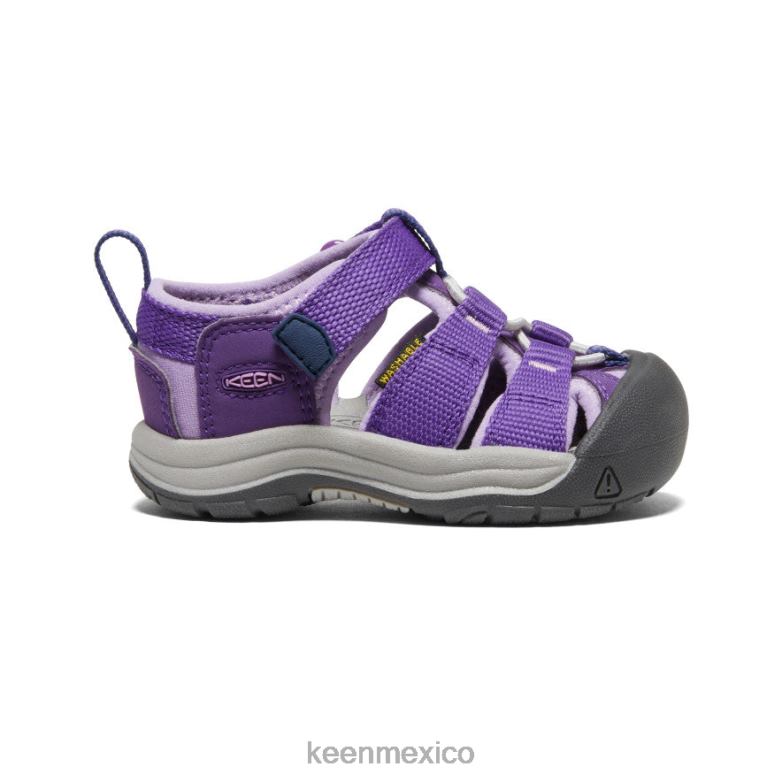 KEEN newport h2 niños pequeños tilandsia violeta/lavanda inglesa calzado TXRFD829