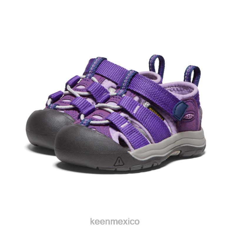 KEEN newport h2 niños pequeños tilandsia violeta/lavanda inglesa calzado TXRFD829