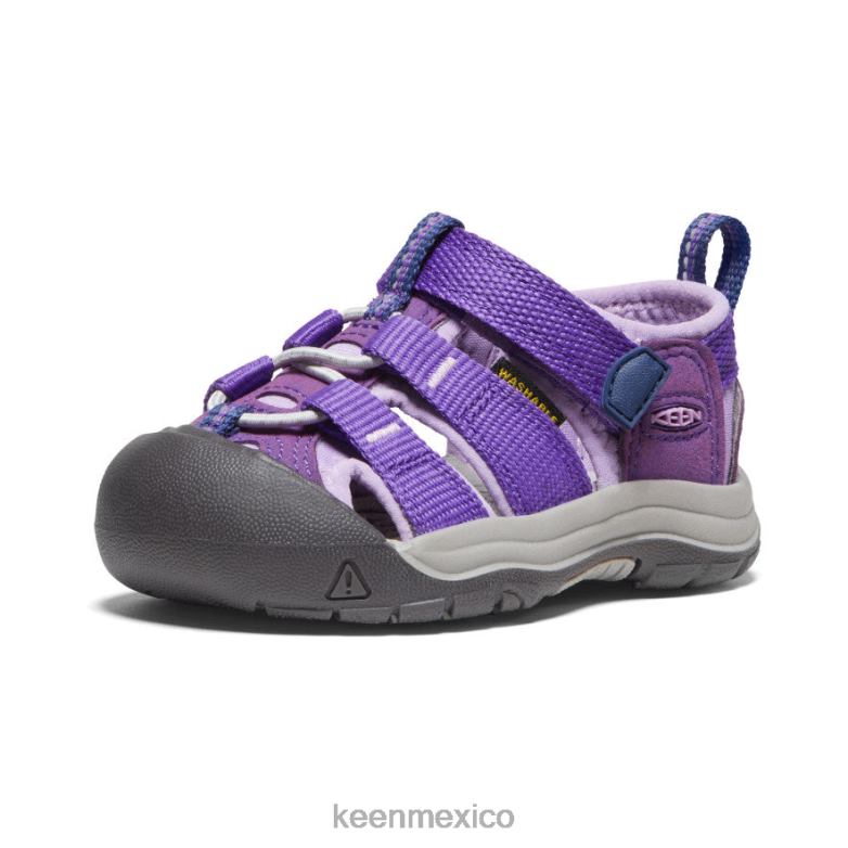 KEEN newport h2 niños pequeños tilandsia violeta/lavanda inglesa calzado TXRFD829