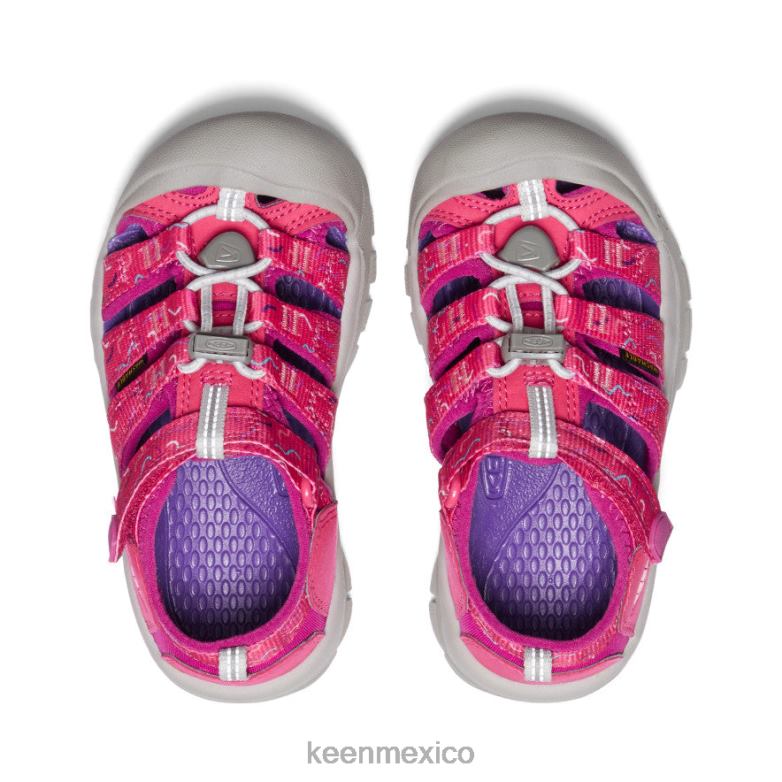 KEEN newport h2 pequeños niños azalea/festival fucsia calzado TXRFD739