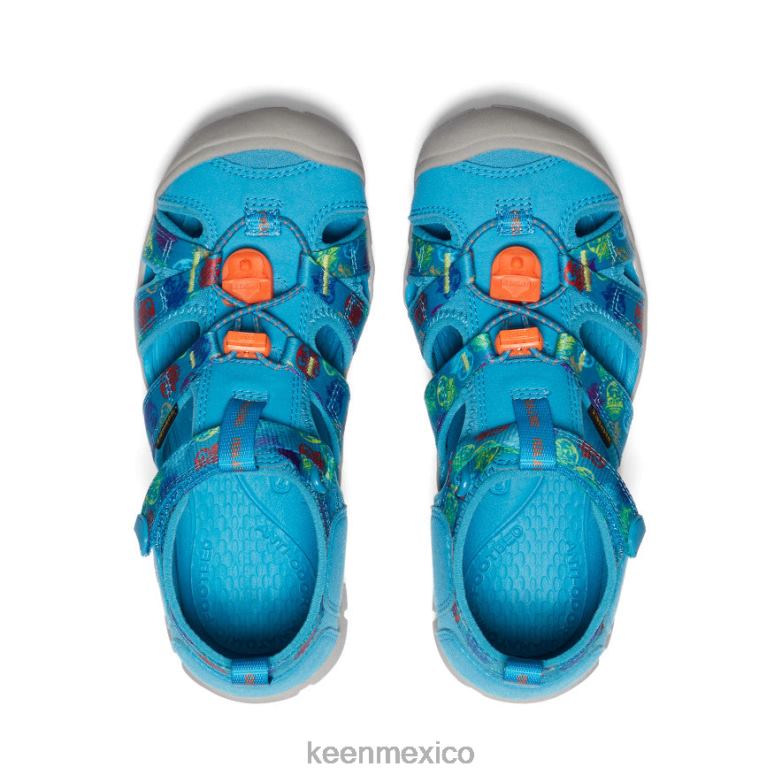 KEEN seacamp ii cnx x oso ahumado niños grandes oso ahumado/azul fiordo calzado TXRFD800