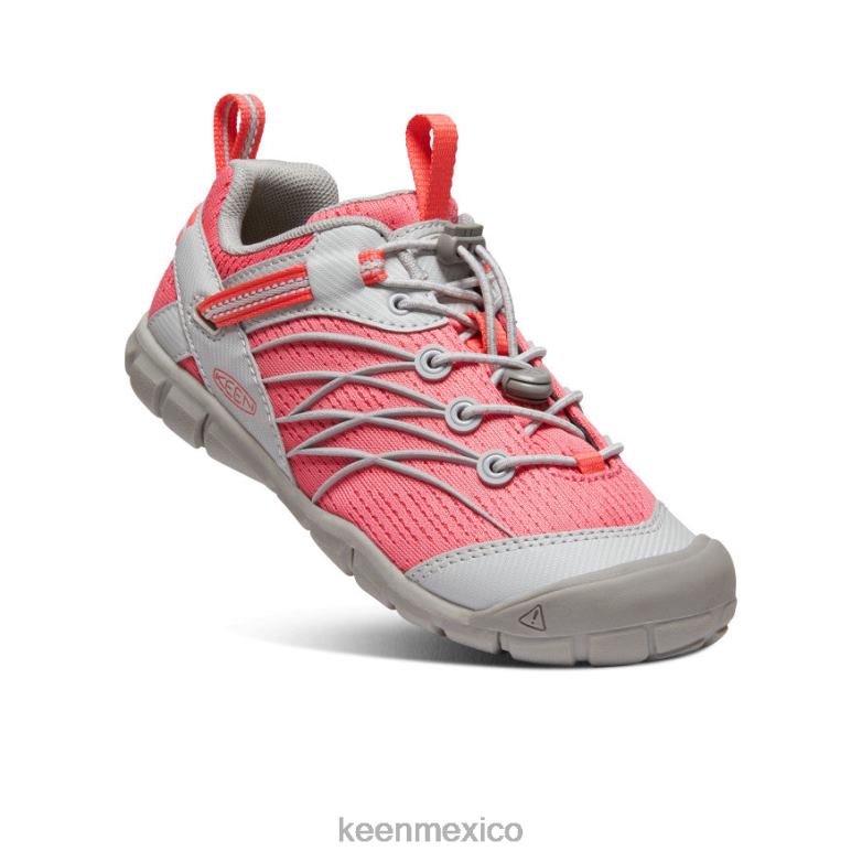 KEEN chandler cnx niños grandes llovizna/dubarry calzado TXRFD894