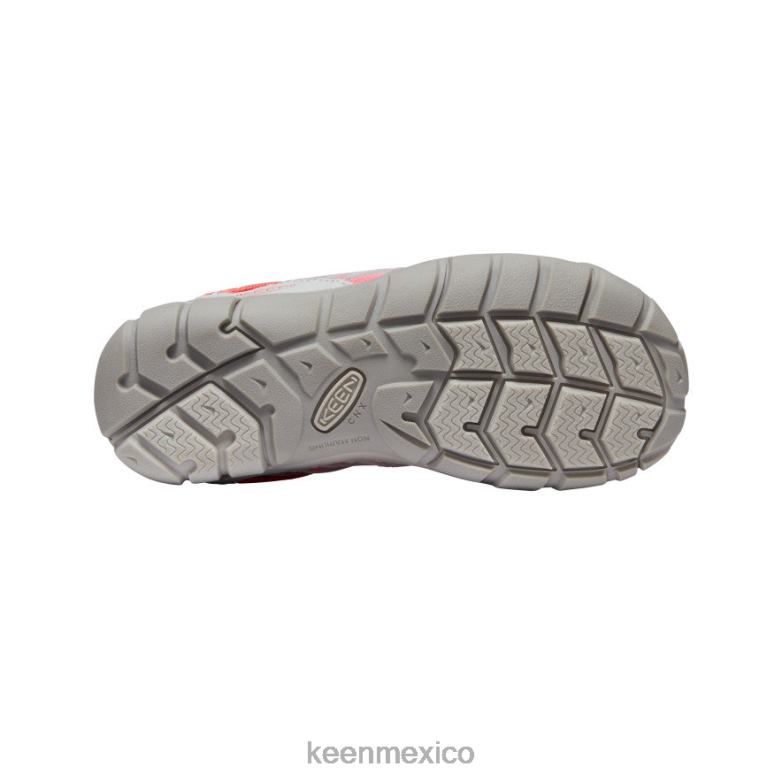 KEEN chandler cnx niños grandes llovizna/dubarry calzado TXRFD894