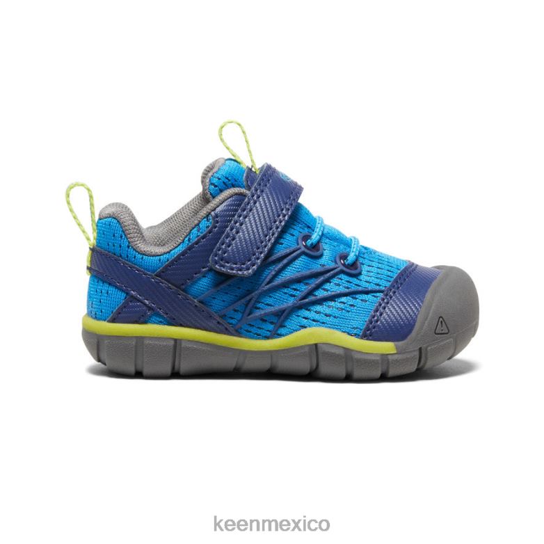 KEEN chandler cnx niños pequeños azul brillante / profundidades azules calzado TXRFD899
