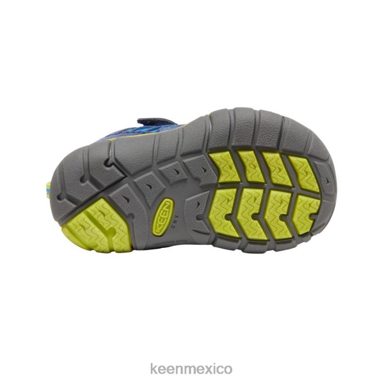 KEEN chandler cnx niños pequeños azul brillante / profundidades azules calzado TXRFD899