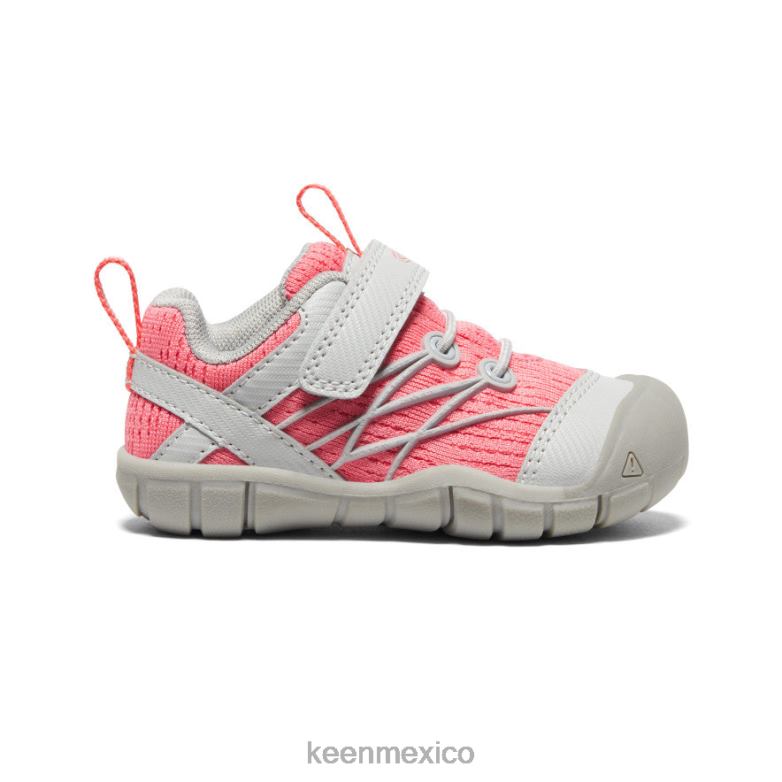 KEEN chandler cnx niños pequeños llovizna/dubarry calzado TXRFD900