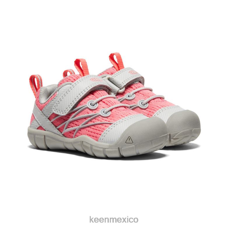 KEEN chandler cnx niños pequeños llovizna/dubarry calzado TXRFD900