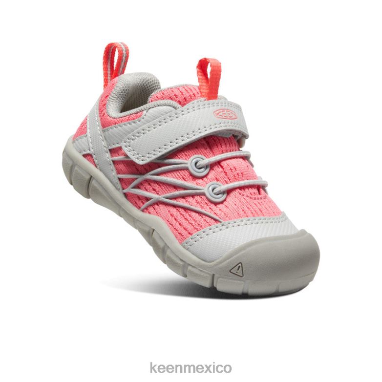 KEEN chandler cnx niños pequeños llovizna/dubarry calzado TXRFD900