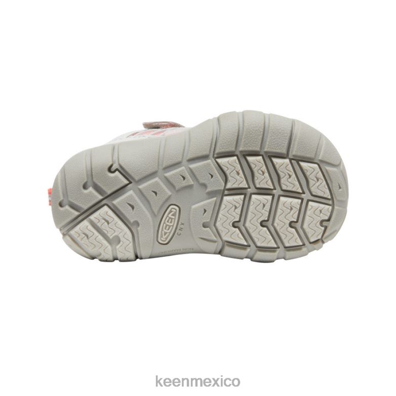 KEEN chandler cnx niños pequeños llovizna/dubarry calzado TXRFD900