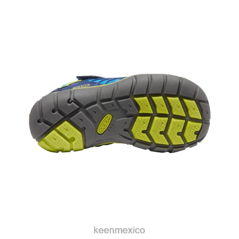 KEEN chandler cnx pequeños niños azul brillante / profundidades azules calzado TXRFD888