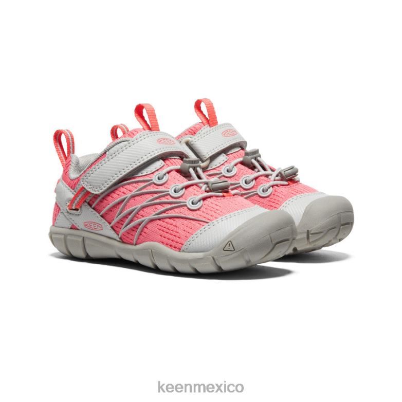 KEEN chandler cnx pequeños niños llovizna/dubarry calzado TXRFD889