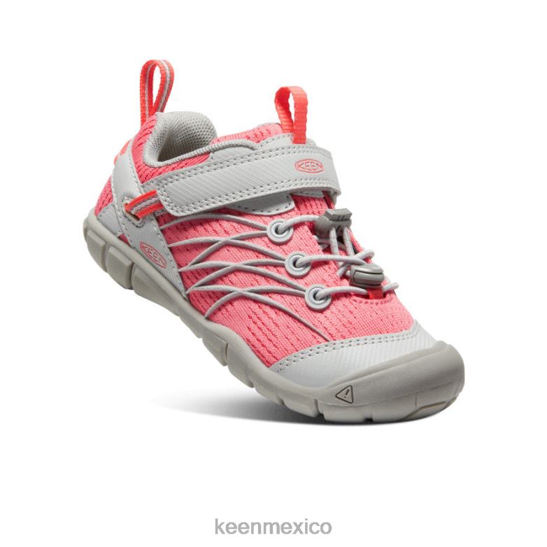 KEEN chandler cnx pequeños niños llovizna/dubarry calzado TXRFD889