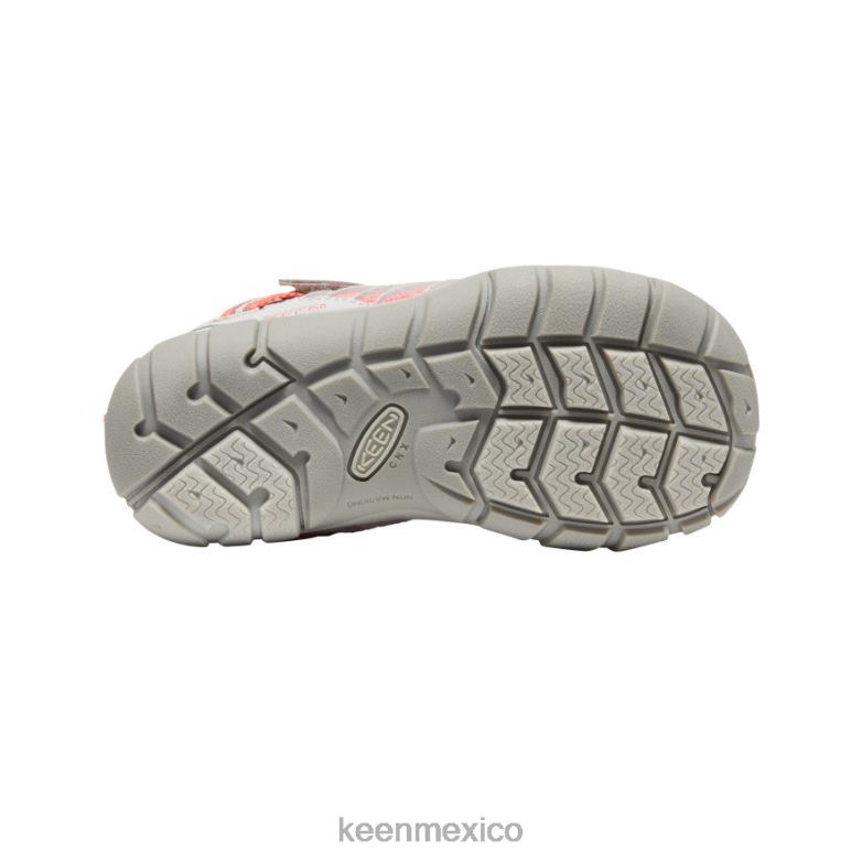 KEEN chandler cnx pequeños niños llovizna/dubarry calzado TXRFD889