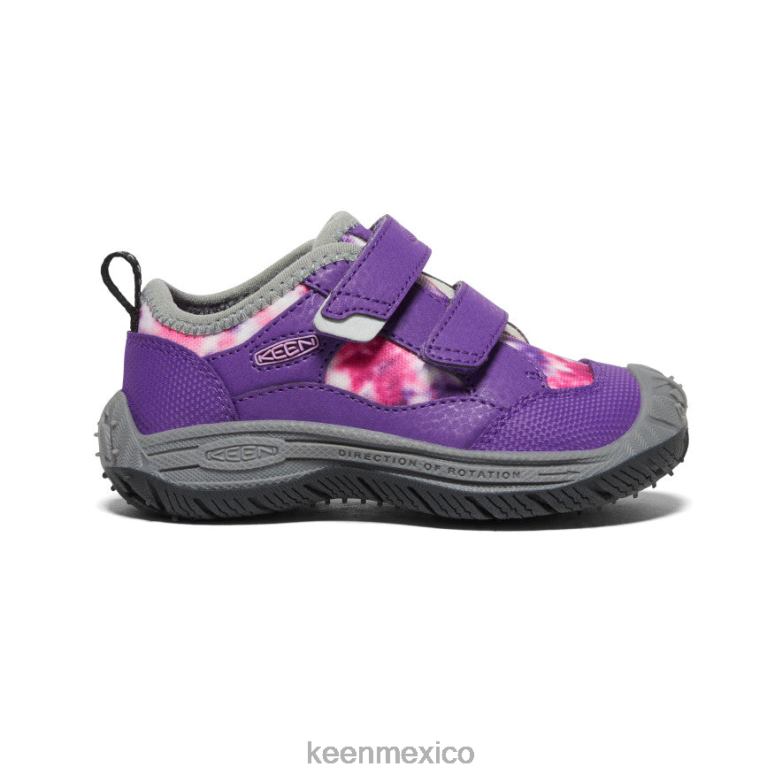 KEEN sabueso de velocidad niños pequeños tillandsia violeta/multicolor calzado TXRFD920