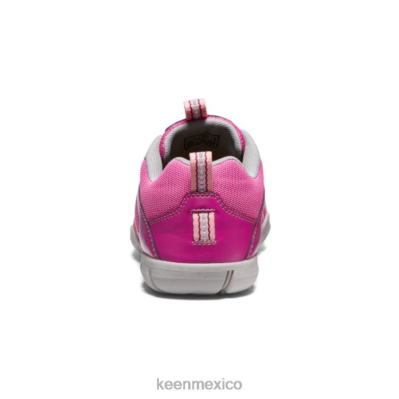 KEEN zapatillas chandler 2 cnx niños grandes festival fucsia/rosa ibis calzado TXRFD883