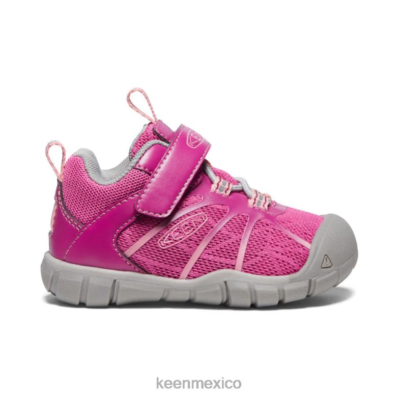 KEEN zapatillas chandler 2 cnx niños pequeños festival fucsia/rosa ibis calzado TXRFD884