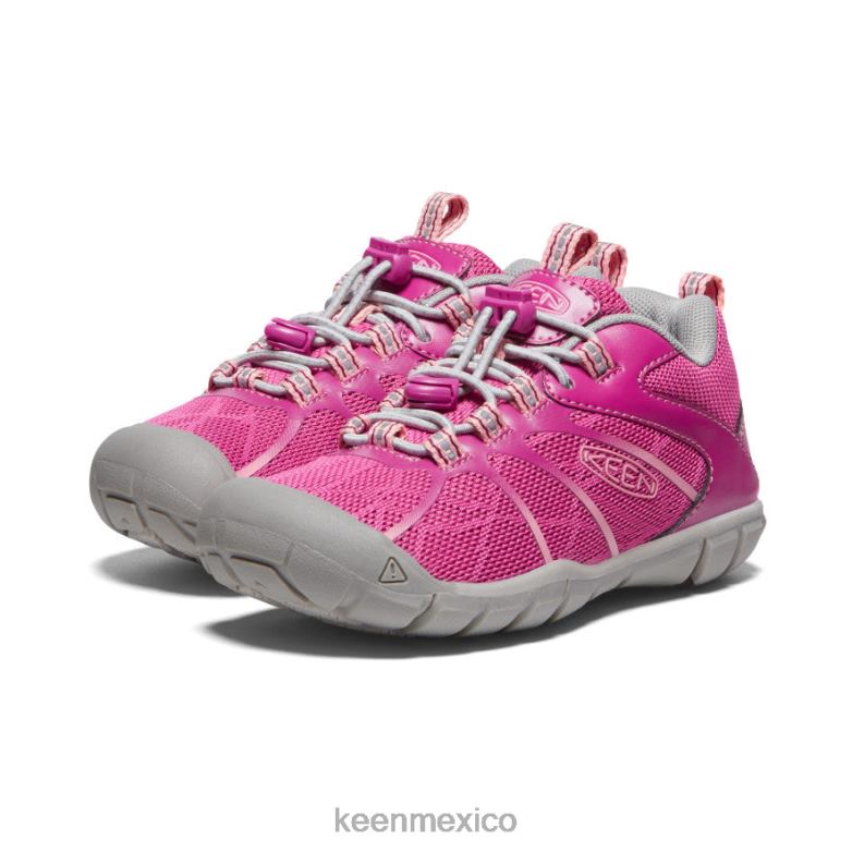 KEEN zapatillas chandler 2 cnx pequeños niños festival fucsia/rosa ibis calzado TXRFD902