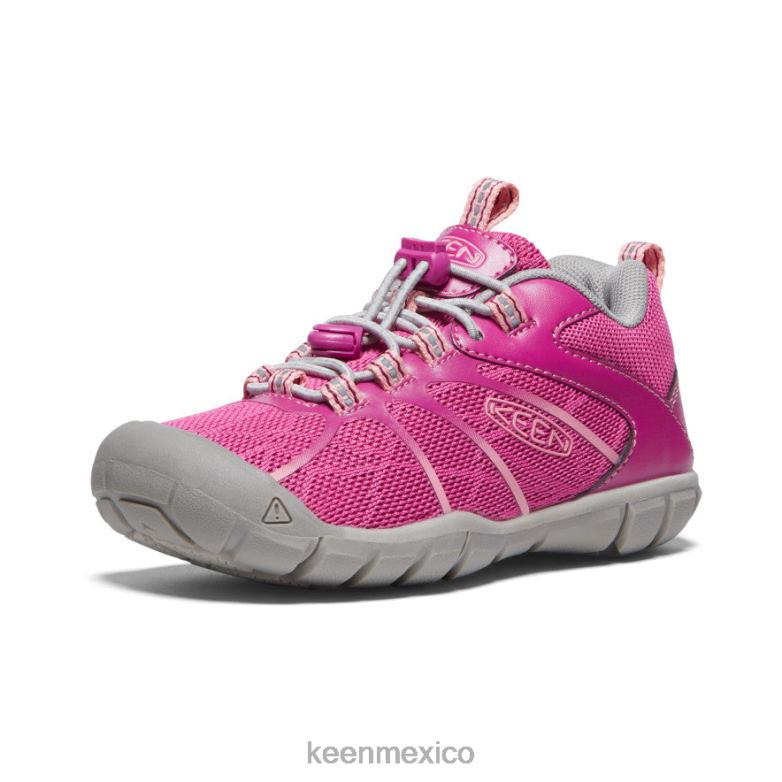 KEEN zapatillas chandler 2 cnx pequeños niños festival fucsia/rosa ibis calzado TXRFD902