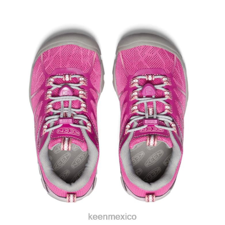 KEEN zapatillas chandler 2 cnx pequeños niños festival fucsia/rosa ibis calzado TXRFD902