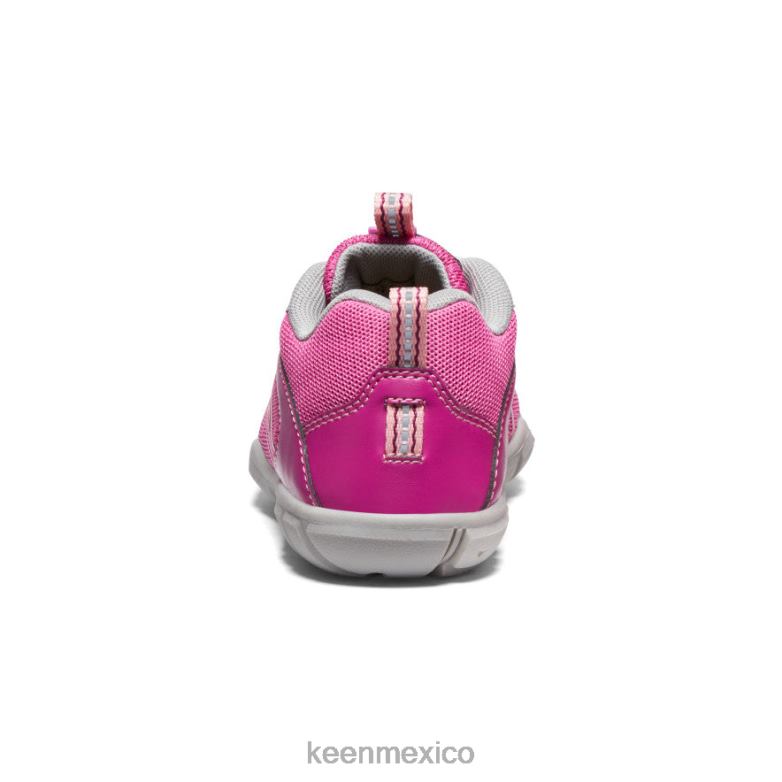 KEEN zapatillas chandler 2 cnx pequeños niños festival fucsia/rosa ibis calzado TXRFD902
