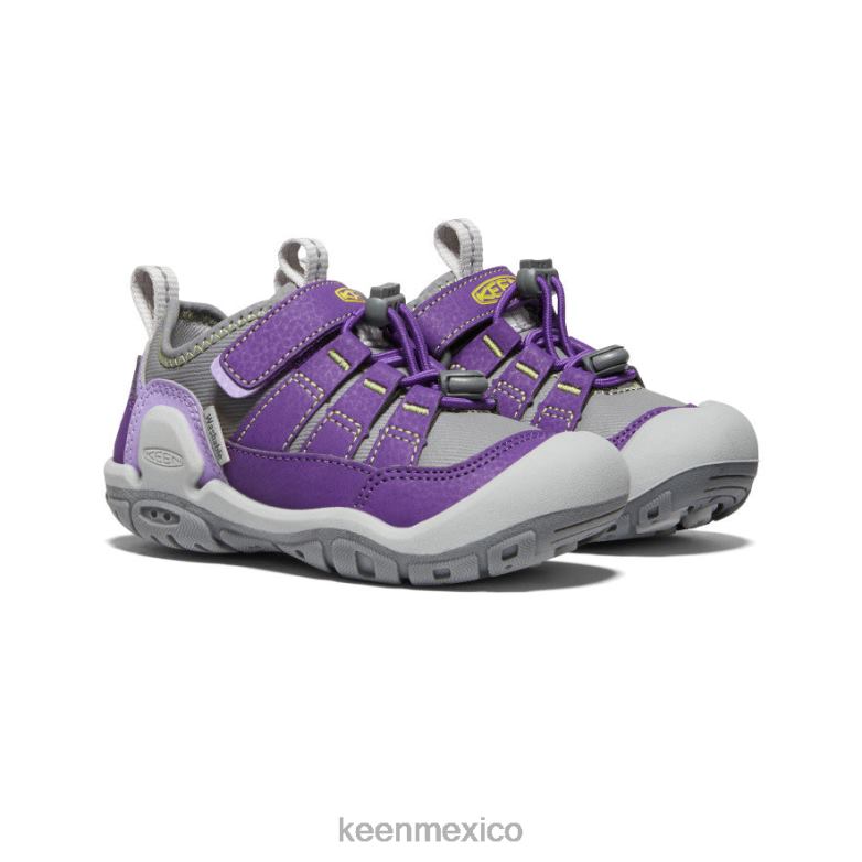 KEEN zapatillas con nudo hueco niños grandes tilandsia violeta/onagra calzado TXRFD909